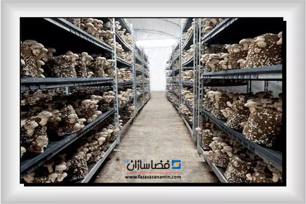آشنایی با ویژگی های قفسه بندی سالن پرورش قارچ